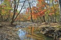 Autumn woodsy river 9 Royalty Free Stock Photo