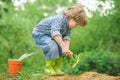 Autumn work. Boy with a shovel, gardening. Digging land for harvest. Garden concept. Cute child and nature.