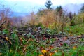 Autumn world of wallachian corner of natural landscape in Javorniky mountains, Sirakov, 29.10.2020, Czech republic