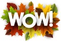 Autumn wow background with leaves. Royalty Free Stock Photo