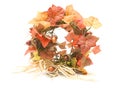 Autumn wreath