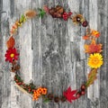 Autumn Wreath Beauty Royalty Free Stock Photo