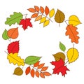 Autumn wreath. Colorful autumn leaves in form of garland on white background. Hand drawn illustration vector. Royalty Free Stock Photo