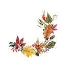 Autumn wreath garland maple leaf, linden seeds, oak acorns, rowan berries, barberry, wild rose, wild grapes. Hand drawn watercolor