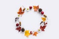 Autumn wreath of leaves, apples, flowers, berries