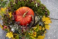 Autumn wreath with pumpkin, leaves and berries Royalty Free Stock Photo