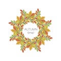 Autumn wreath. Round frame. Vector background. Autumn time. Poster. Leaves chestnut, acacia