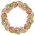 Autumn wreath with rowan berries and leaves. Vector illustration Royalty Free Stock Photo