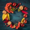 Autumn wreath, square design with a place for text, autumn leaves flatlay, overhead shot Royalty Free Stock Photo