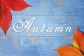 Autumn written on blue, grunge, wooden background with Autumn Leaves.