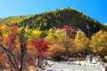 The Autumn at Yading Nature Reserve in Daocheng County ,China