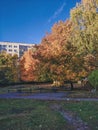 Autumn yard near a house. Colorful trees with green, yellow and orange leaves in the yard of the residential area. Royalty Free Stock Photo