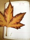 Yellow maple leaf and notepad.