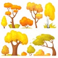 Autumn yellow bush. Cartoon seasons garden and forest trees in fall, season orange leaves, gold hedge foliage, maple