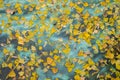 Autumn yellow fallen leaves lie on the water polluted by chemical waste Royalty Free Stock Photo