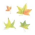 Autumn yellow and greenish leaves set watercolor illustration seasonal image