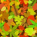 Autumn yellow leaf seamless pattern