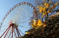 Autumn yellow leaves on background Ferris wheel at the park
