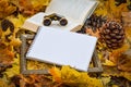 Autumn yellow leaves, Background space for text Royalty Free Stock Photo