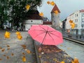 Autumn yellow leaves fall in Tallinn Old town medieval city  tower ,pink  umbrella under rain in park travel to Estonia Autumn Royalty Free Stock Photo