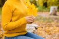 Autumn yellow leaves in female hands. Close-up