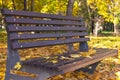 Autumn yellow leaves lie on a brown wooden park bench. Fall foliage in the city. October.