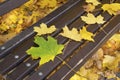 Autumn yellow leaves lie on a brown wooden park bench. Fall foliage in the city. Royalty Free Stock Photo