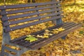 Autumn yellow leaves lie on a brown wooden park bench. Fall foliage in the city. October Royalty Free Stock Photo