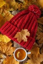 Autumn, yellow leaves, red hat and a cup of hot tea with lemon in the autumn forest Royalty Free Stock Photo