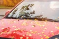 Autumn yellow leaves on wet glass the red color of the car. Close-up. Copy space . Royalty Free Stock Photo