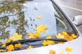 Autumn leaves covered car Royalty Free Stock Photo