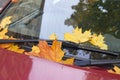 Autumn leaves covered car Royalty Free Stock Photo