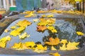 Autumn leaves covered car Royalty Free Stock Photo