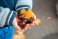 little hands with chestnuts - fall time Autumn yellow maple leaf and chestnuts in the hands of a child. Concept autumn. Royalty Free Stock Photo