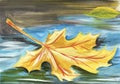 Autumn yellow maple leaf lies on the wet asphalt in a puddle. Hand-drawn illustration Royalty Free Stock Photo