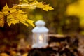 Autumn Yellow Maple Leaves In The Forest Near The Lantern With A Candle