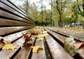 Autumn yellow maple leaves lie on a park bench wet from the rain, selective focus Royalty Free Stock Photo