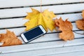 Autumn yellow maple leaves and a mobile phone on a white wooden Park bench Royalty Free Stock Photo