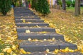 Autumn yellow maple leaves on on pedestrian stairs in city rainy weather. Landscape in city park in October