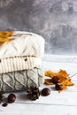 Autumn yellow maple leaves, pine cones, chestnuts, white and gray cozy knitted sweaters on the gray background.