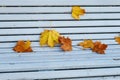 Autumn yellow maple leaves on a white wooden Park bench Royalty Free Stock Photo