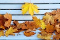 Autumn yellow maple leaves on a white wooden Park bench Royalty Free Stock Photo