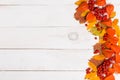 Autumn yellow orange leaves, Rowan berries, finalise on white wooden background with copy space for text Royalty Free Stock Photo