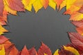 Autumn leaves on darkl background as a frame