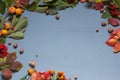 Autumn yellow and Red leaves gray background citrus pomegranate Royalty Free Stock Photo