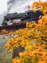 Autumn yellow tree in the rain against the steam train locomotive background