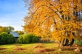 Autumn yellow tree and the roof of a wooden house Royalty Free Stock Photo