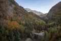 Autumn yellow Tree valley with Mount Perdido in background, in Aragon, Spain Royalty Free Stock Photo