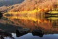 Autumn yellow Trees reflected in lake during Fall. Autumn forest photography