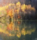 Autumn yellow Trees reflected in lake during Fall. Autumn forest photography